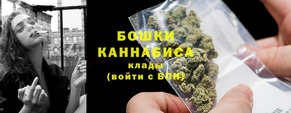 сатива Семилуки