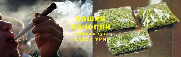 гашик Бородино