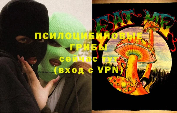 гашик Бородино