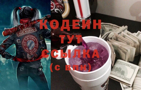 гашик Бородино