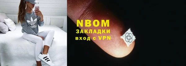 гашик Бородино