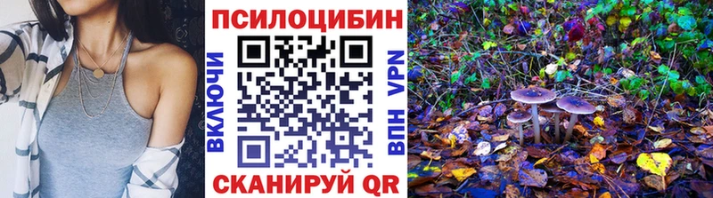 Галлюциногенные грибы Psilocybe  где купить   Кирсанов 
