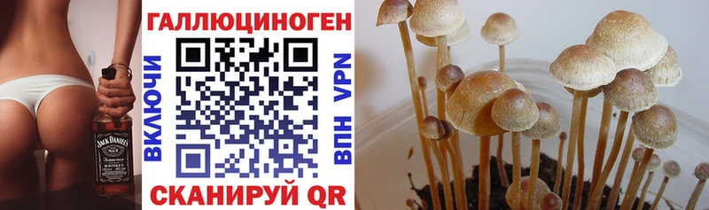Псилоцибиновые грибы мухоморы Кирсанов