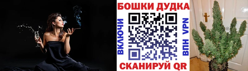 Конопля VHQ  наркотики  Кирсанов 